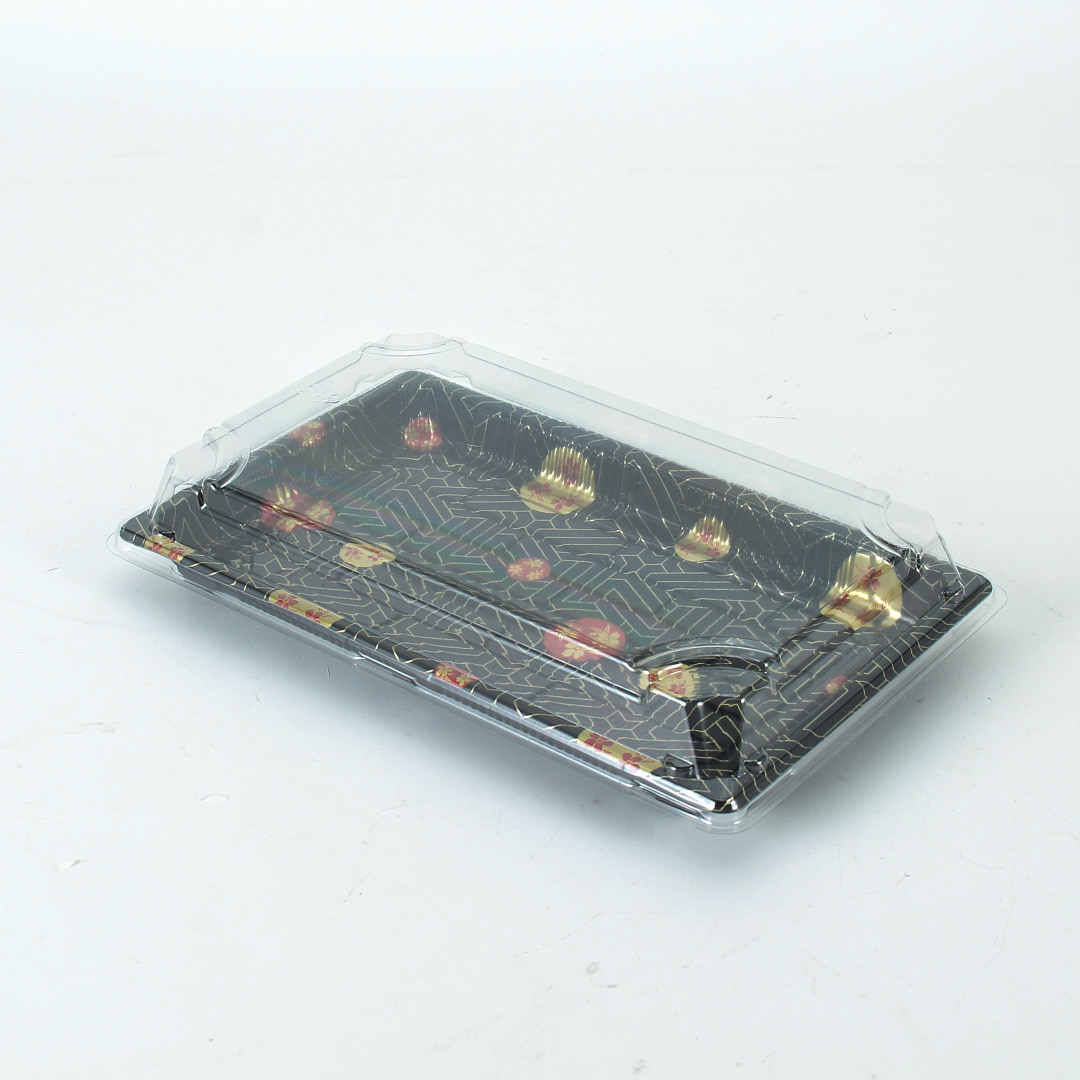 Dispsoable Plastic Take Out Sushi Tray | WL-010