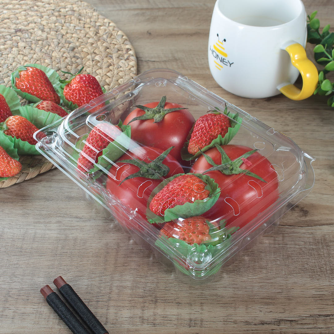16 oz Disposable Clamshell Food Containers with fruit in it | WL-CM002