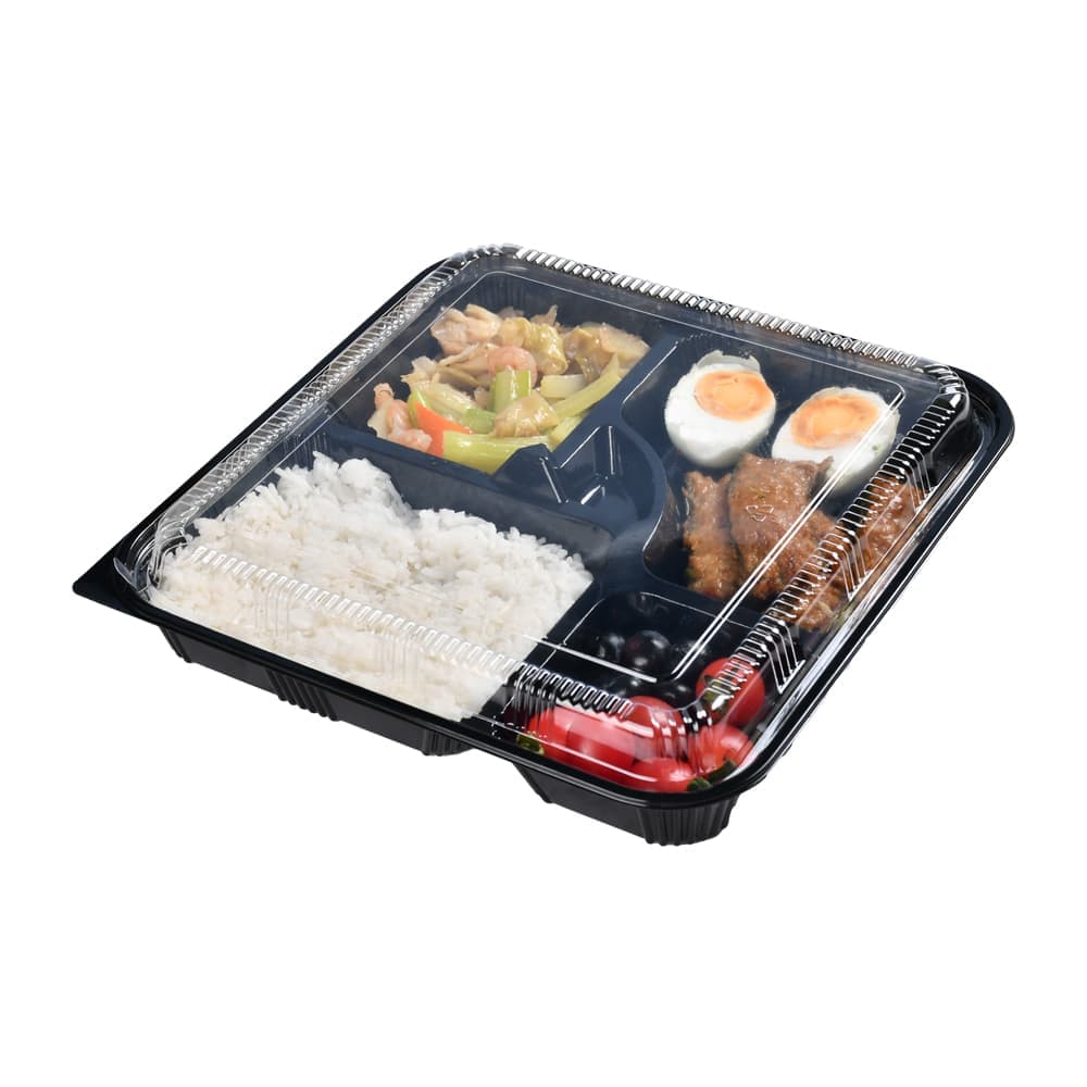 Large 5 Compartment Bento Box Microwave Safe | WL-8307