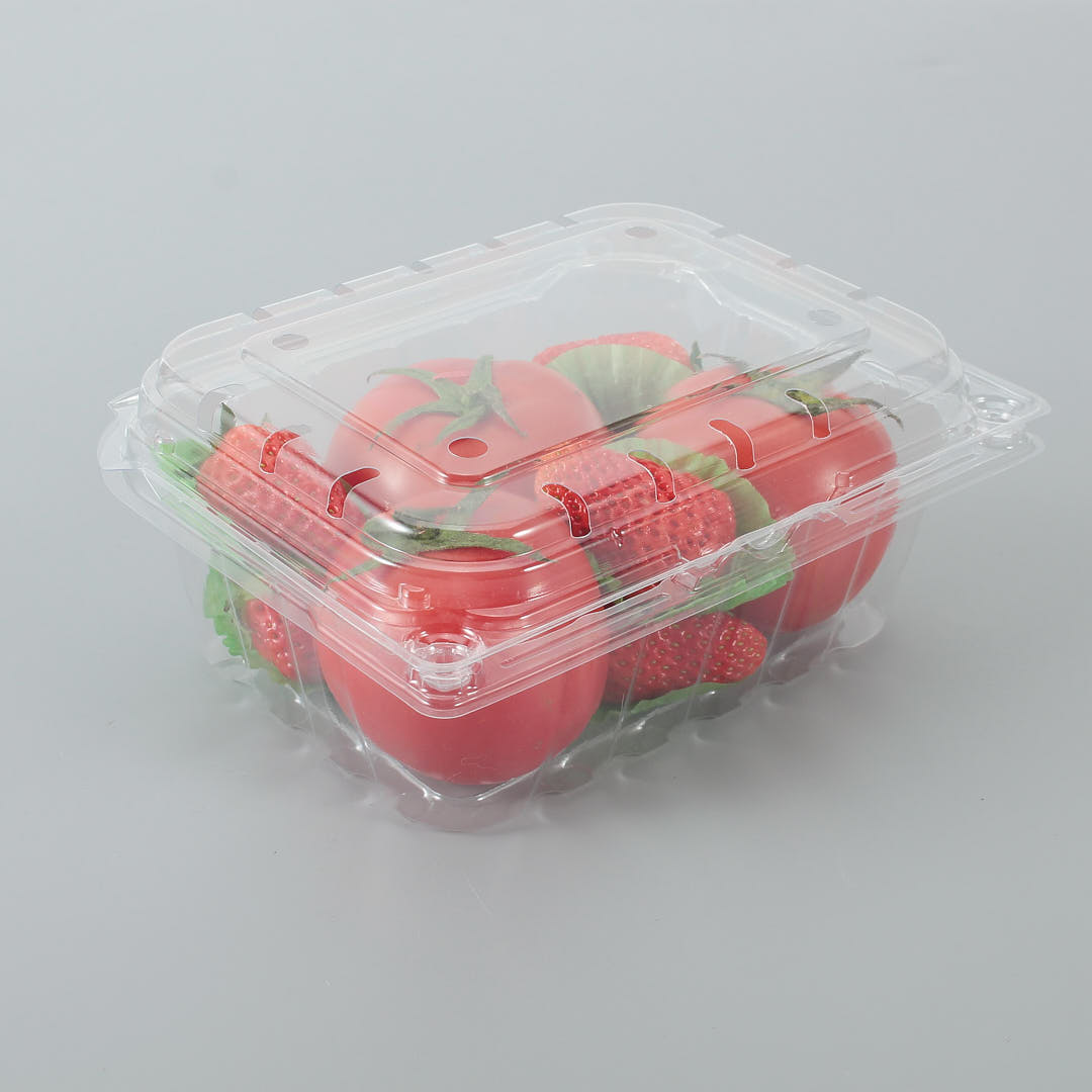 reusable small container for produce with fruit in it