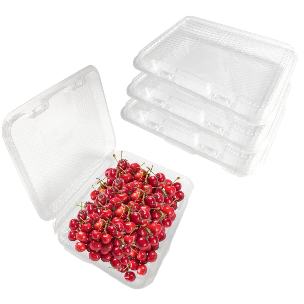 39Oz Clamshell Salad Containers