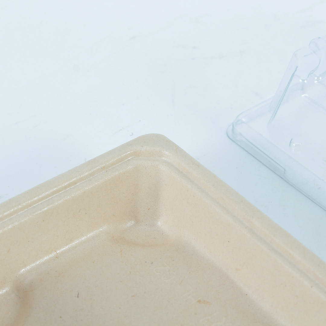 WL01-compostable sushi tray corner details without clear lid