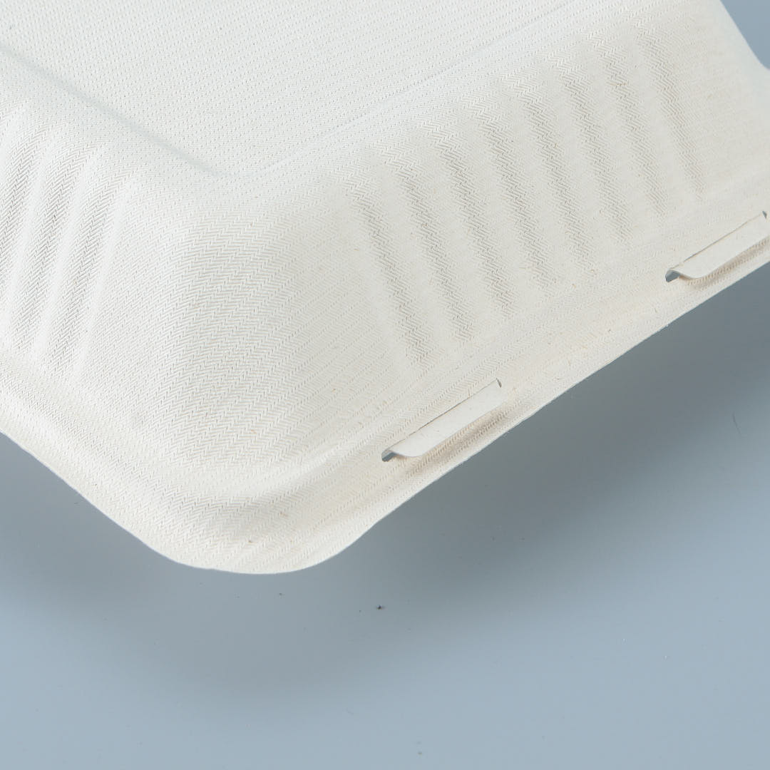 Close lock details of compostable cleamshell take out food container