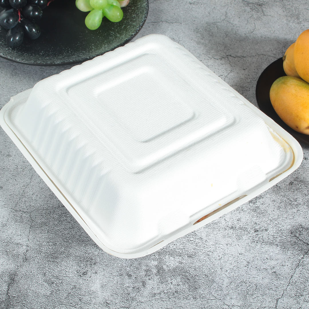 Close sugarcane bagasse 3 compartment clamshell container on the table