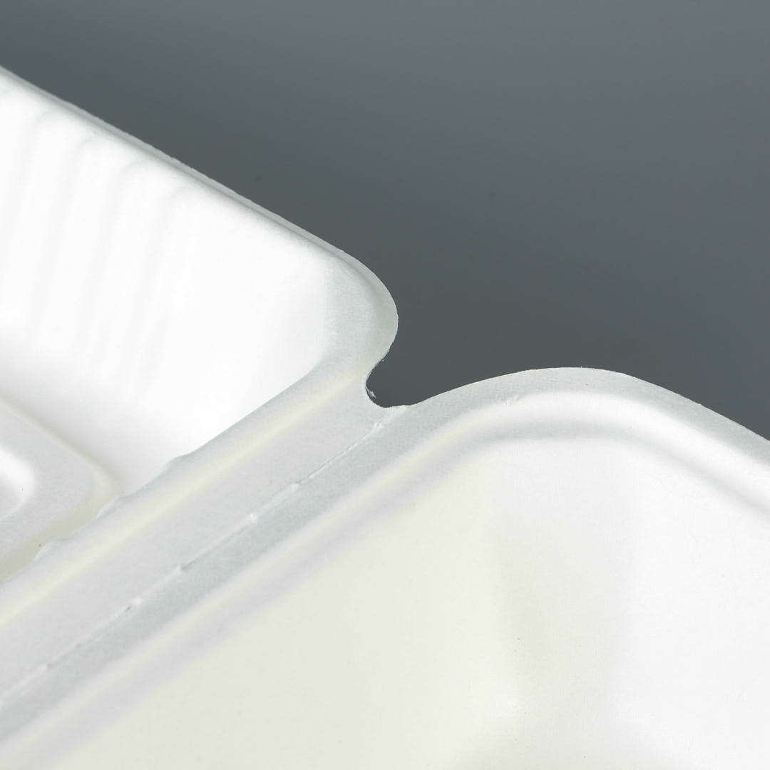Hinge detail of sugarcane bagasse 3 compartment clamshell container