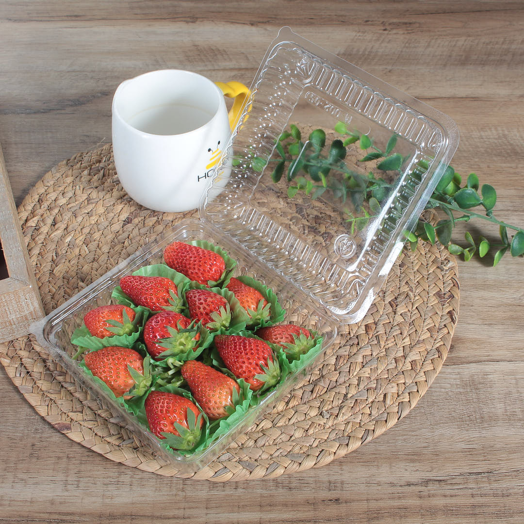 Opened Resuable Small Clamshell Container with strawberry in it