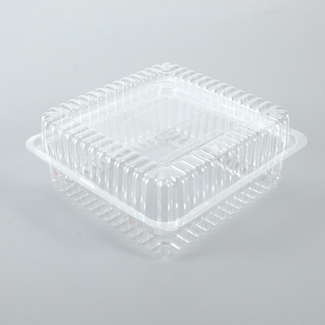 Resuable Small Clamshell Containers for Produce shotted in 45 degree