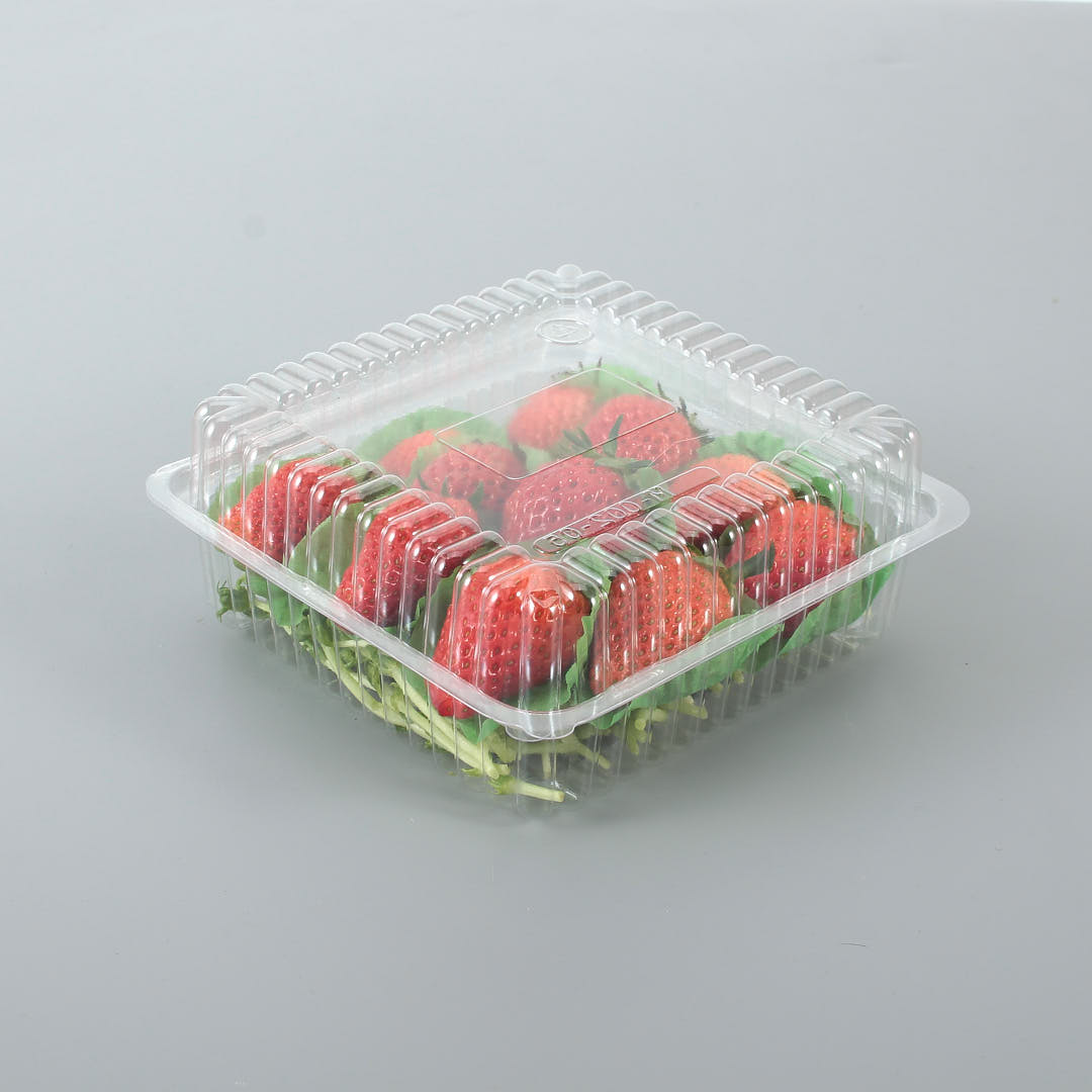 Resuable Small Clamshell Containers for Produce | WL-CM002
