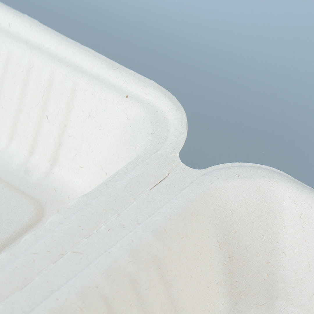 hinge details of compostable cleamshell take out food container