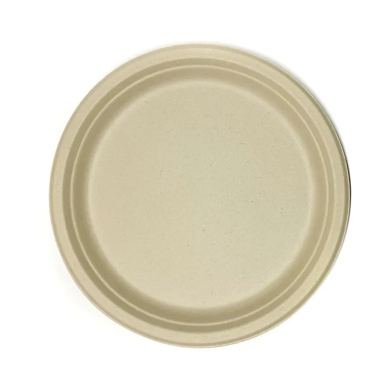 12 Inch Eco-Friendly Disposable Plates