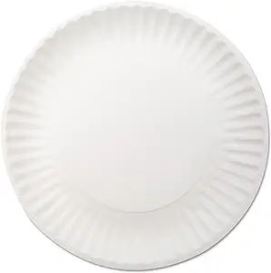 9 Inch Paper Plate 1000 Count