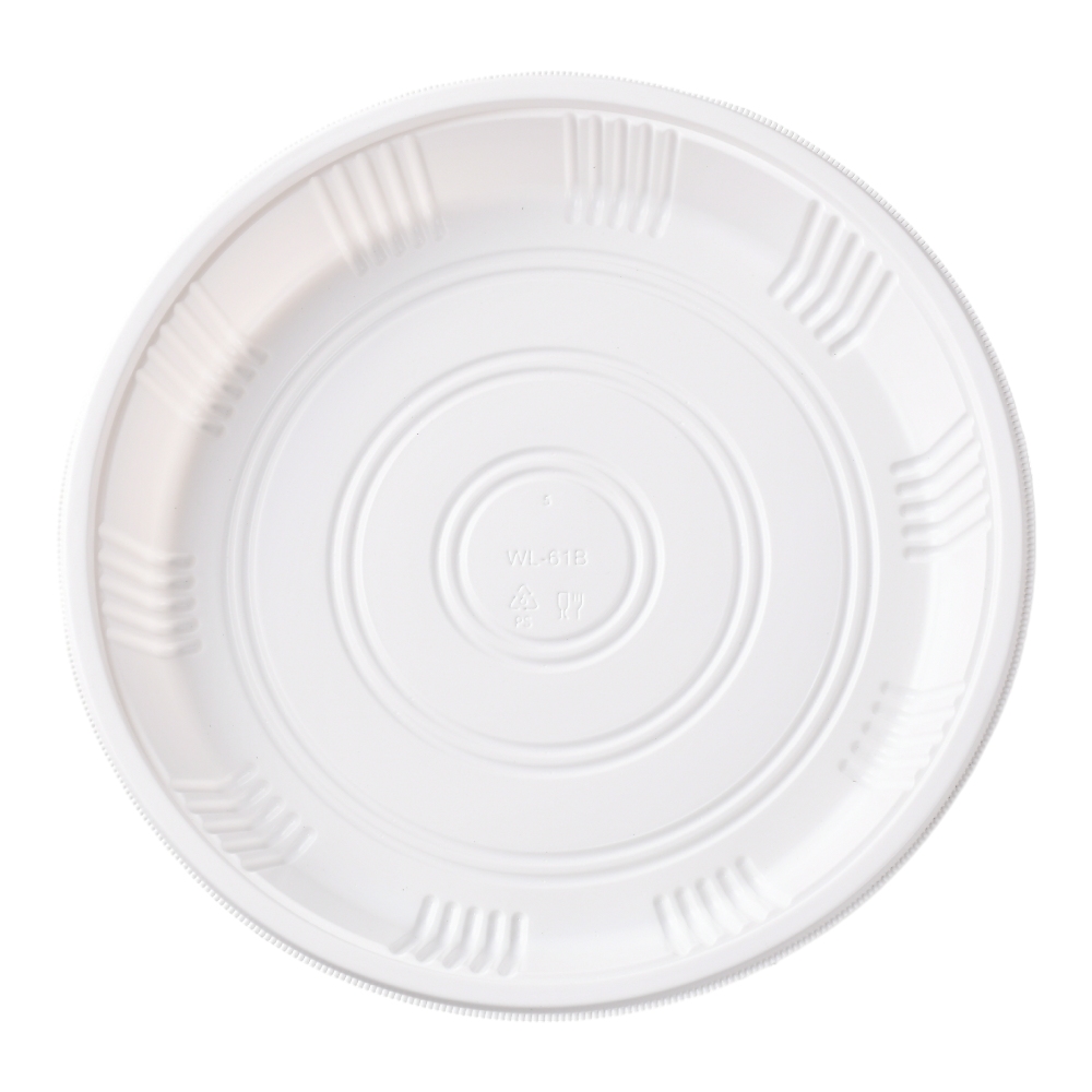 White 9 Inch Plastic Plates with Lids