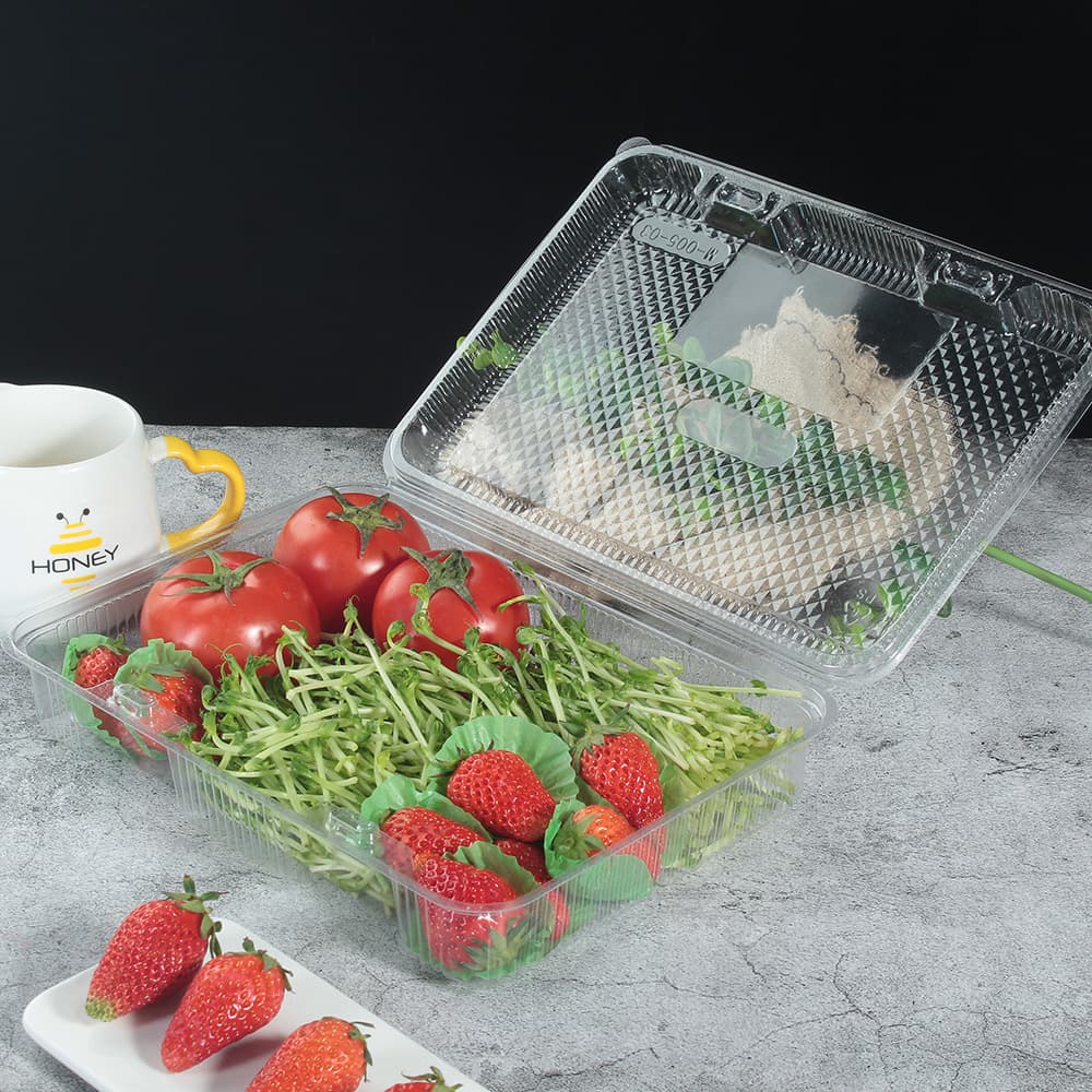 A clear plastic clamshell container with an open lid holds tomatoes and vegetables