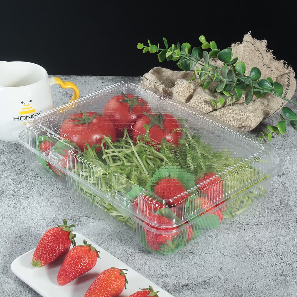 A clear plastic clamshell container with a closed lid holds tomatoes and vegetables