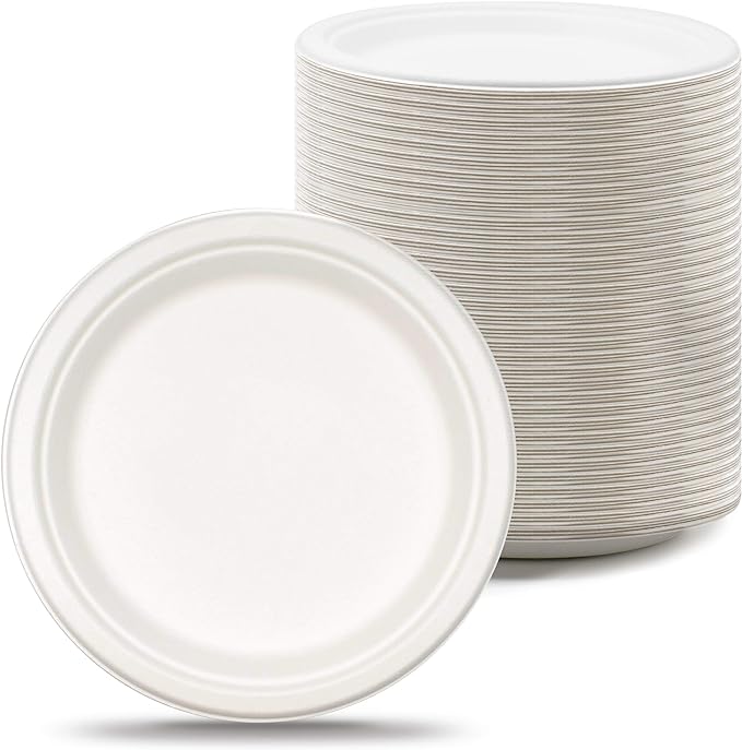 10 Inch Disposable Plates for Wedding