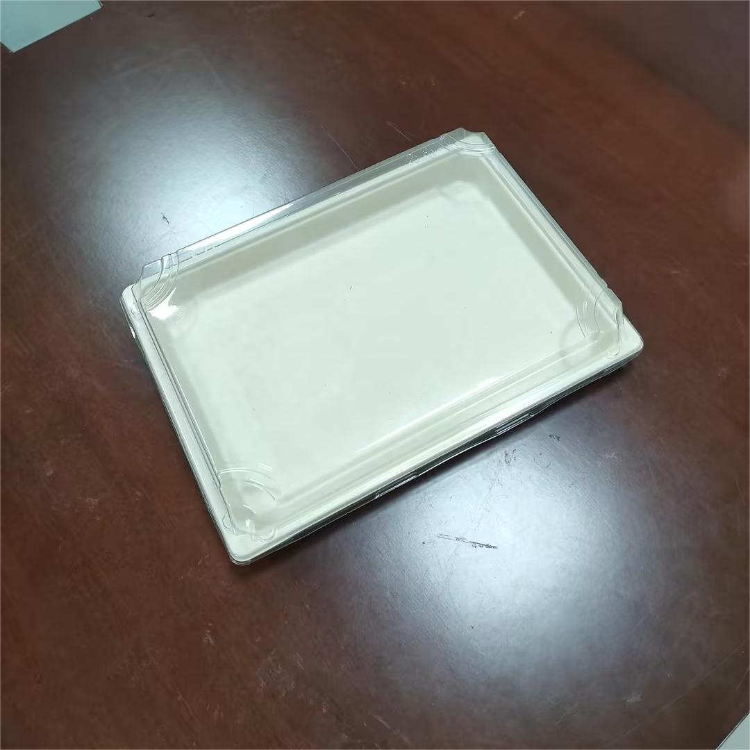 Biodegradable Large Sushi Tray | WL-11