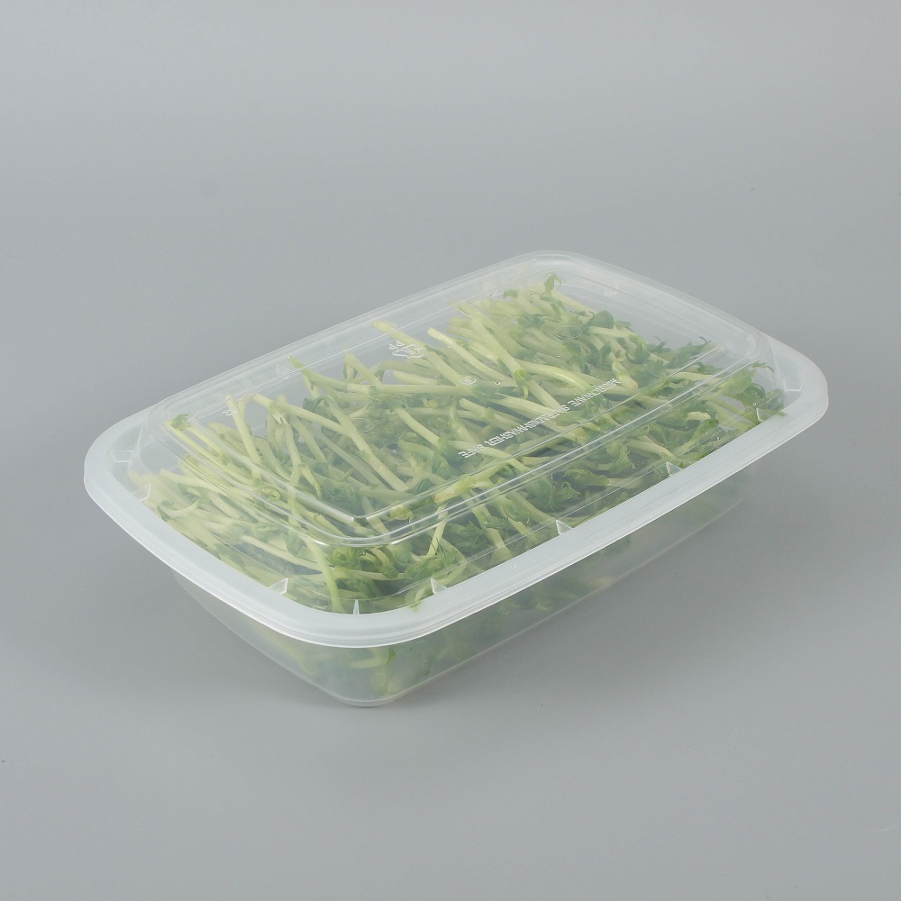 A transparent plastic bento box with vegetables and lid closed is placed on a gray background