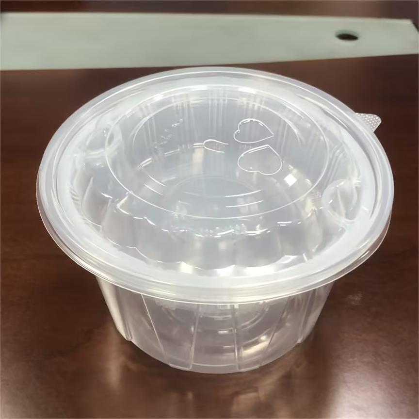 Large Clear Plastic Salad Bowls with Lids