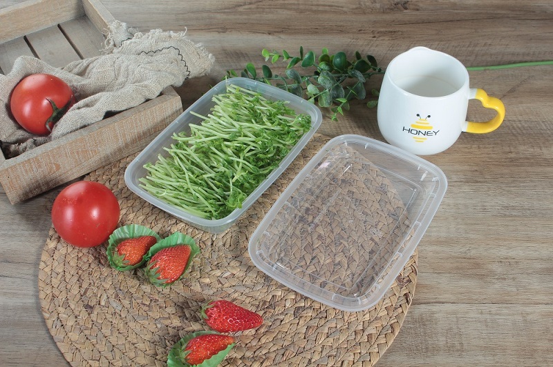 A clear plastic bento box with vegetables and lid open is placed on a mat on a wooden table with a cup and some strawberries, tomatoes, and leaves as decoration.