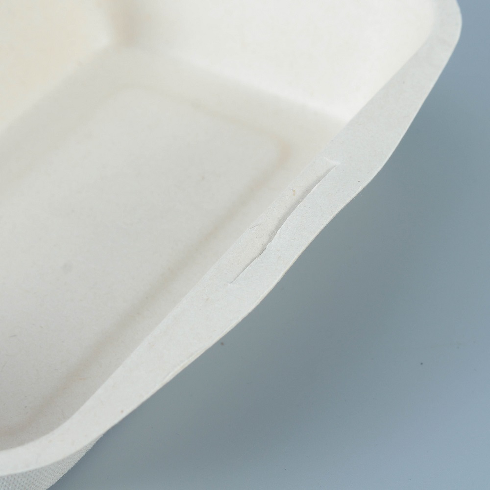 Details of the interior and lock of a natural color bagasse rectangular clamshell container