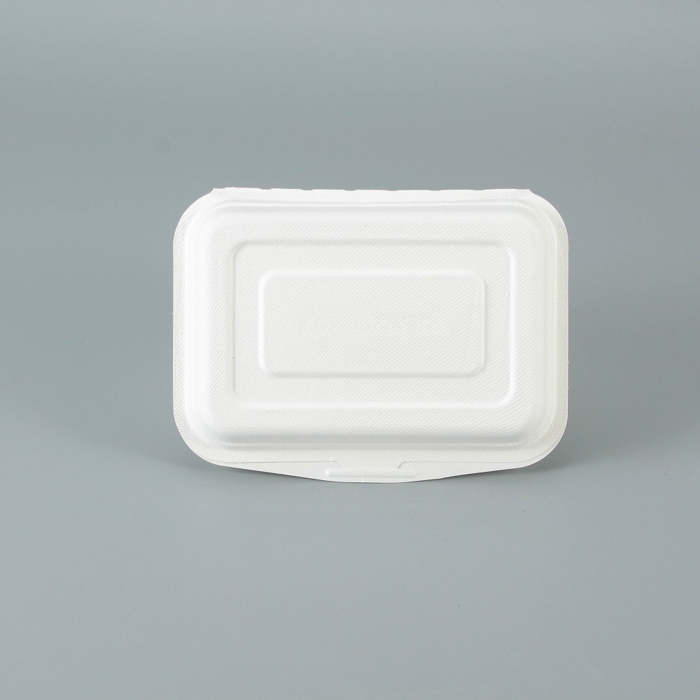 A white bagasse rectangular clamshell container presented from the front angle on a gray background.