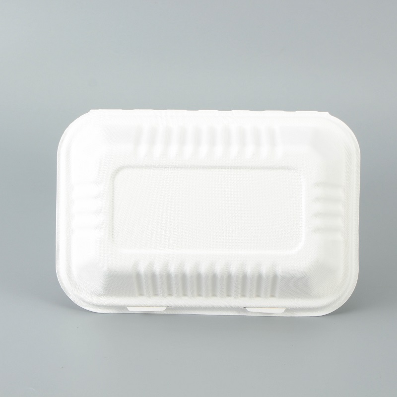 The front of a white bagasse rectangular clamshell container with the lid closed and placed on a gray background